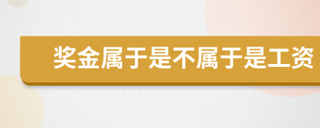 奖金属于是不属于是工资