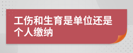 工伤和生育是单位还是个人缴纳