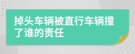 掉头车辆被直行车辆撞了谁的责任