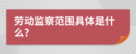 劳动监察范围具体是什么?