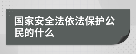 国家安全法依法保护公民的什么