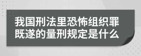 我国刑法里恐怖组织罪既遂的量刑规定是什么