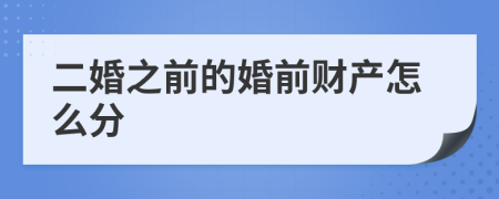 二婚之前的婚前财产怎么分