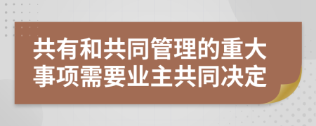 共有和共同管理的重大事项需要业主共同决定