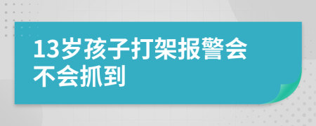 13岁孩子打架报警会不会抓到