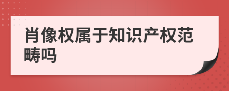 肖像权属于知识产权范畴吗