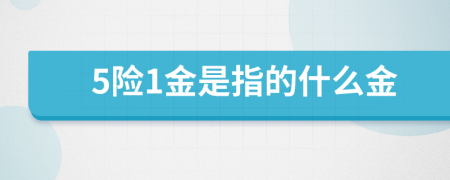 5险1金是指的什么金