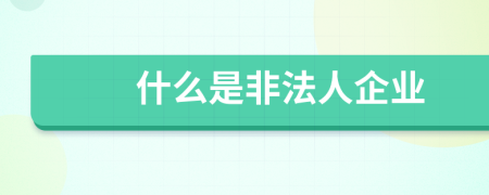 什么是非法人企业