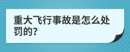 重大飞行事故是怎么处罚的？