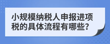 小规模纳税人申报进项税的具体流程有哪些？