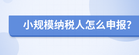 小规模纳税人怎么申报？