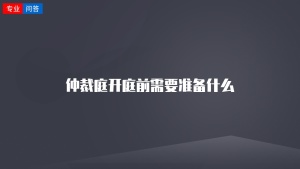 仲裁庭开庭前需要准备什么