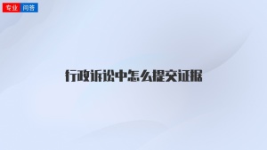 行政诉讼中怎么提交证据