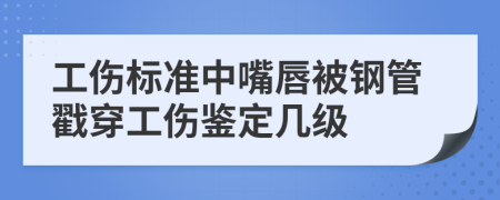 工伤标准中嘴唇被钢管戳穿工伤鉴定几级