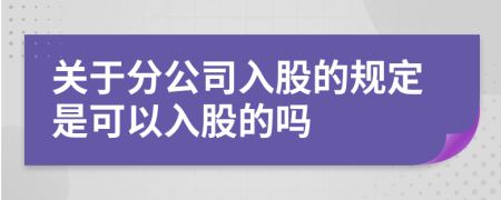 关于分公司入股的规定是可以入股的吗