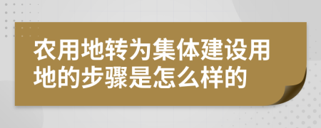 农用地转为集体建设用地的步骤是怎么样的