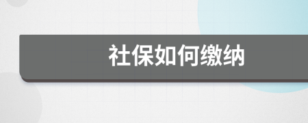 社保如何缴纳