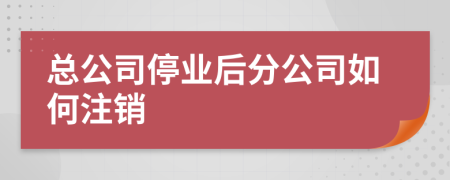 总公司停业后分公司如何注销