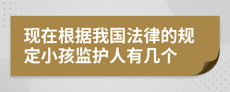 现在根据我国法律的规定小孩监护人有几个