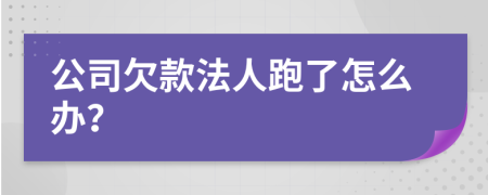 公司欠款法人跑了怎么办？