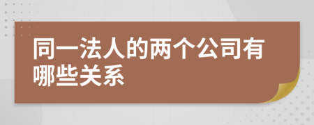 同一法人的两个公司有哪些关系