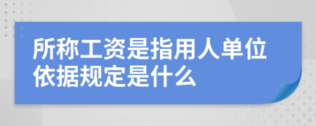 所称工资是指用人单位依据规定是什么