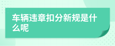 车辆违章扣分新规是什么呢