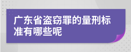 广东省盗窃罪的量刑标准有哪些呢