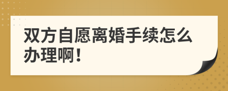 双方自愿离婚手续怎么办理啊！