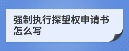 强制执行探望权申请书怎么写