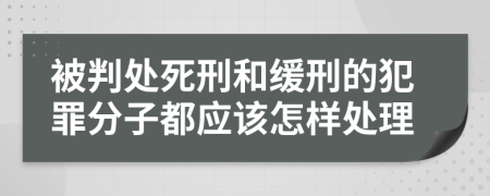 被判处死刑和缓刑的犯罪分子都应该怎样处理