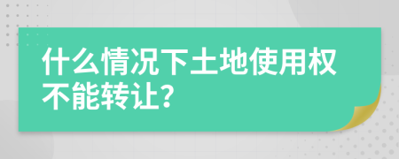 什么情况下土地使用权不能转让？