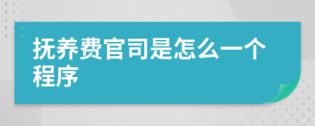 抚养费官司是怎么一个程序