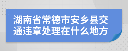 湖南省常德市安乡县交通违章处理在什么地方