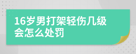 16岁男打架轻伤几级会怎么处罚