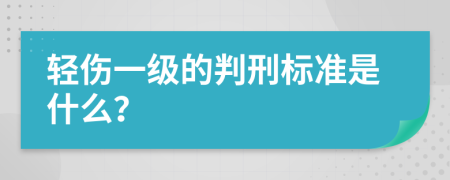 轻伤一级的判刑标准是什么？