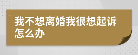 我不想离婚我很想起诉怎么办