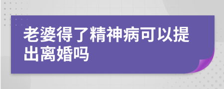 老婆得了精神病可以提出离婚吗