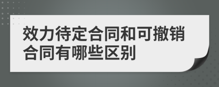 效力待定合同和可撤销合同有哪些区别