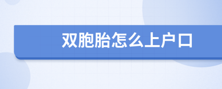 双胞胎怎么上户口