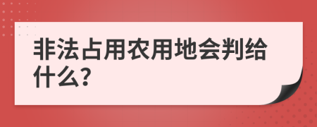 非法占用农用地会判给什么？