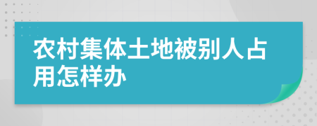 农村集体土地被别人占用怎样办