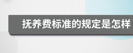 抚养费标准的规定是怎样