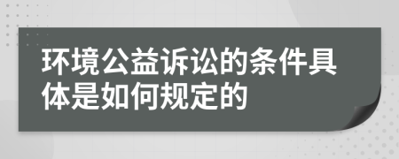 环境公益诉讼的条件具体是如何规定的