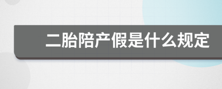 二胎陪产假是什么规定