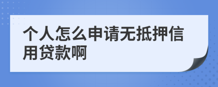 个人怎么申请无抵押信用贷款啊