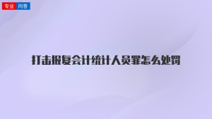 打击报复会计统计人员罪怎么处罚