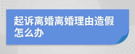 起诉离婚离婚理由造假怎么办