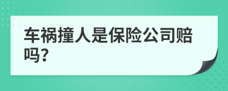 车祸撞人是保险公司赔吗？