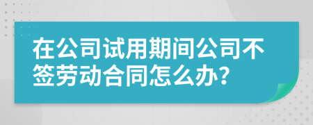 在公司试用期间公司不签劳动合同怎么办？